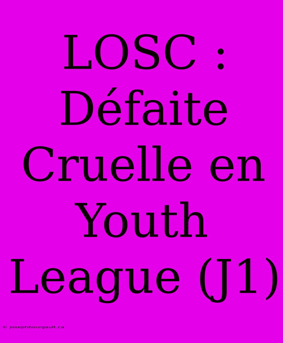 LOSC : Défaite Cruelle En Youth League (J1)