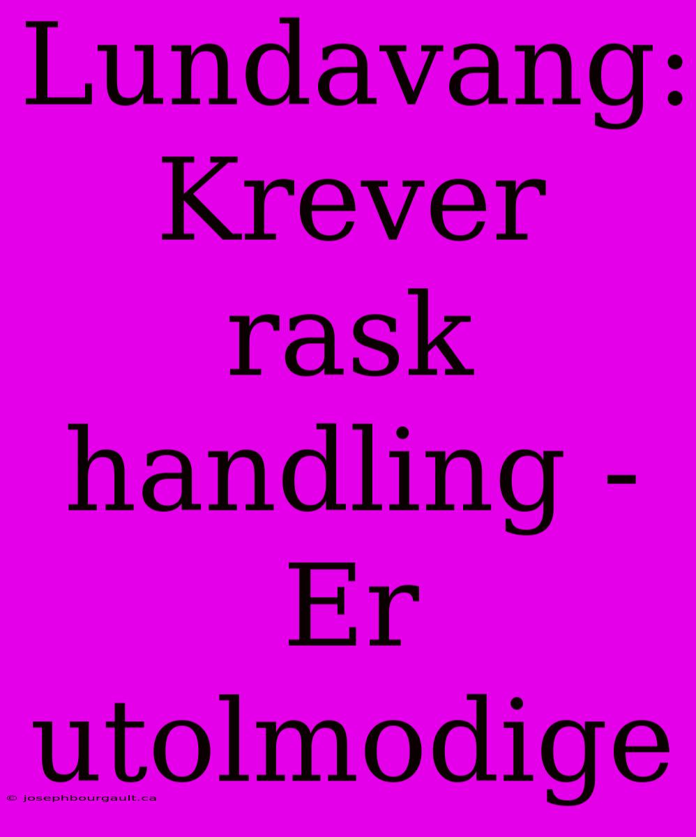 Lundavang: Krever Rask Handling - Er Utolmodige