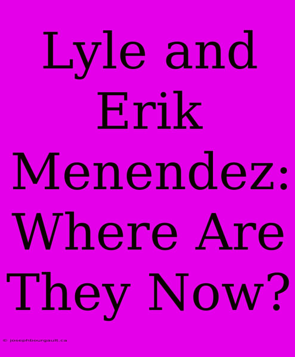 Lyle And Erik Menendez: Where Are They Now?