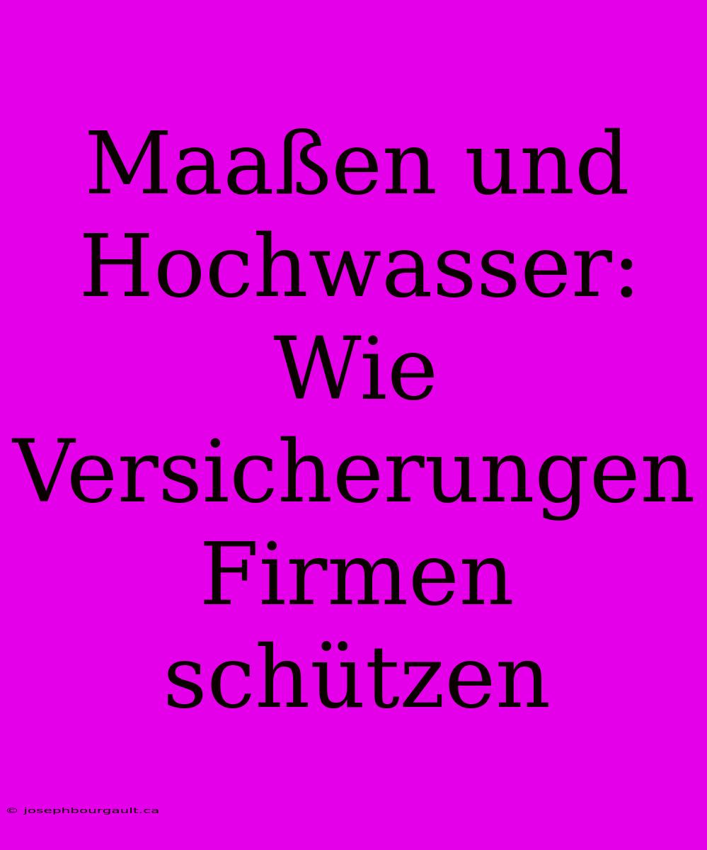 Maaßen Und Hochwasser:  Wie Versicherungen Firmen Schützen