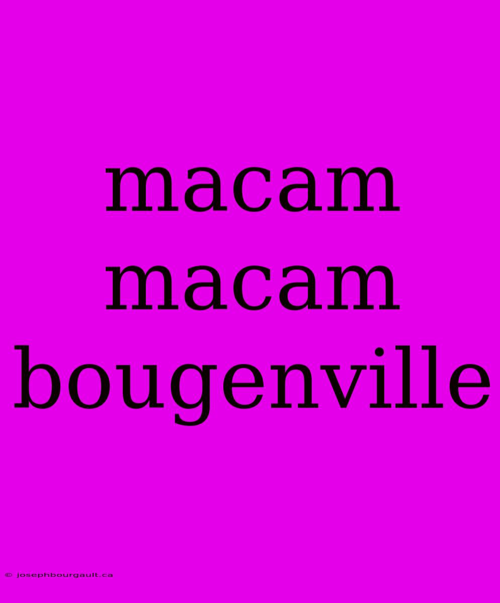 Macam Macam Bougenville