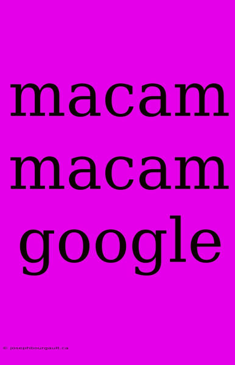 Macam Macam Google