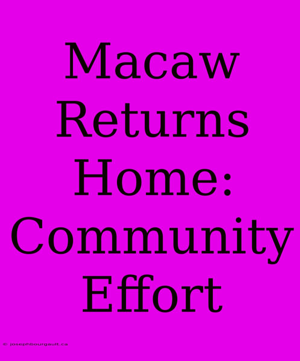 Macaw Returns Home: Community Effort