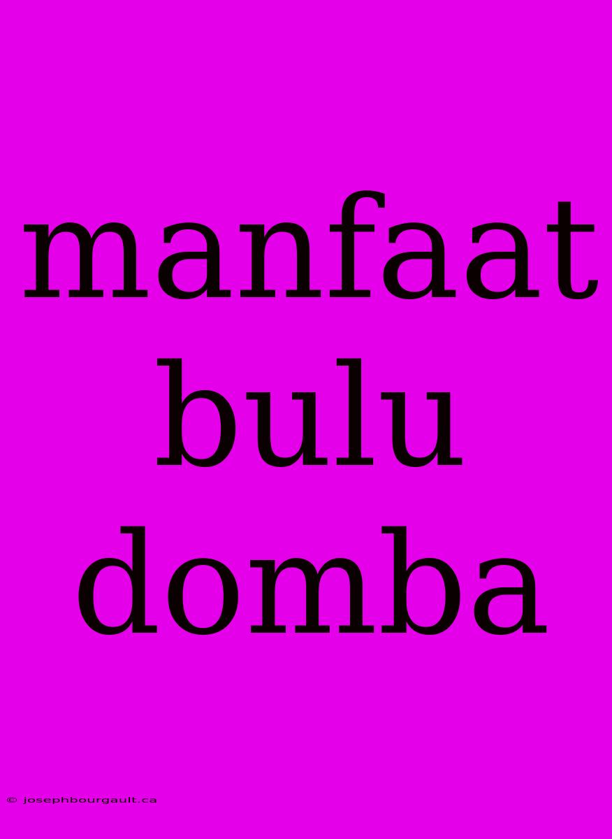 Manfaat Bulu Domba