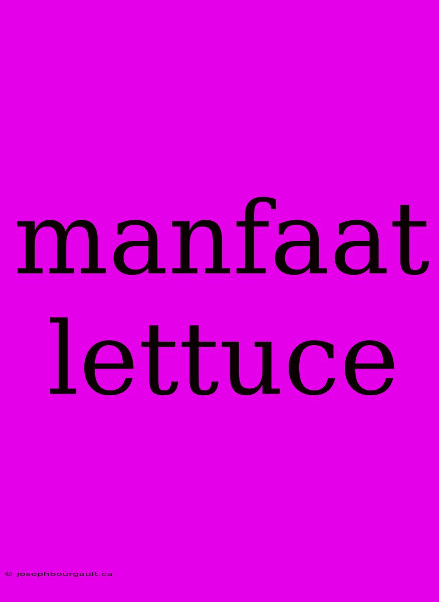 Manfaat Lettuce