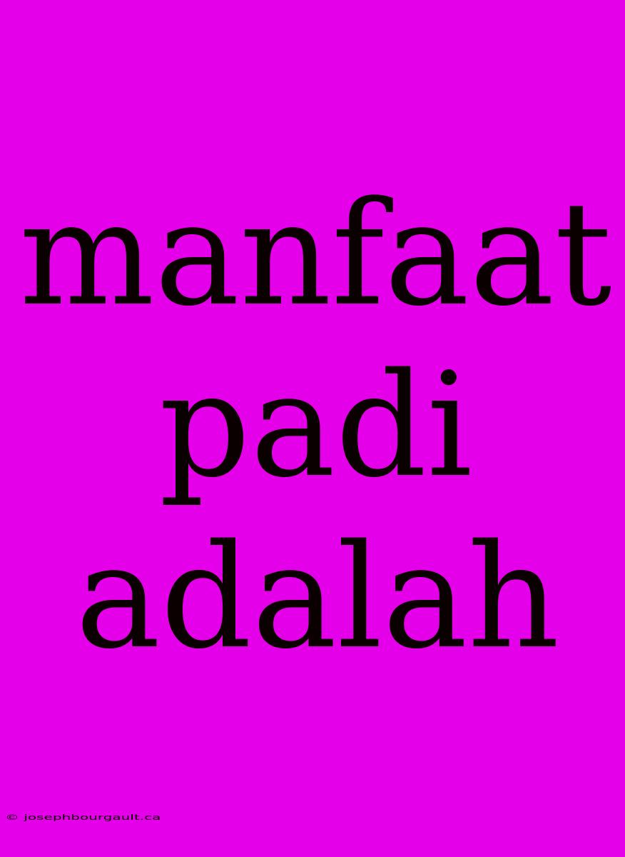 Manfaat Padi Adalah