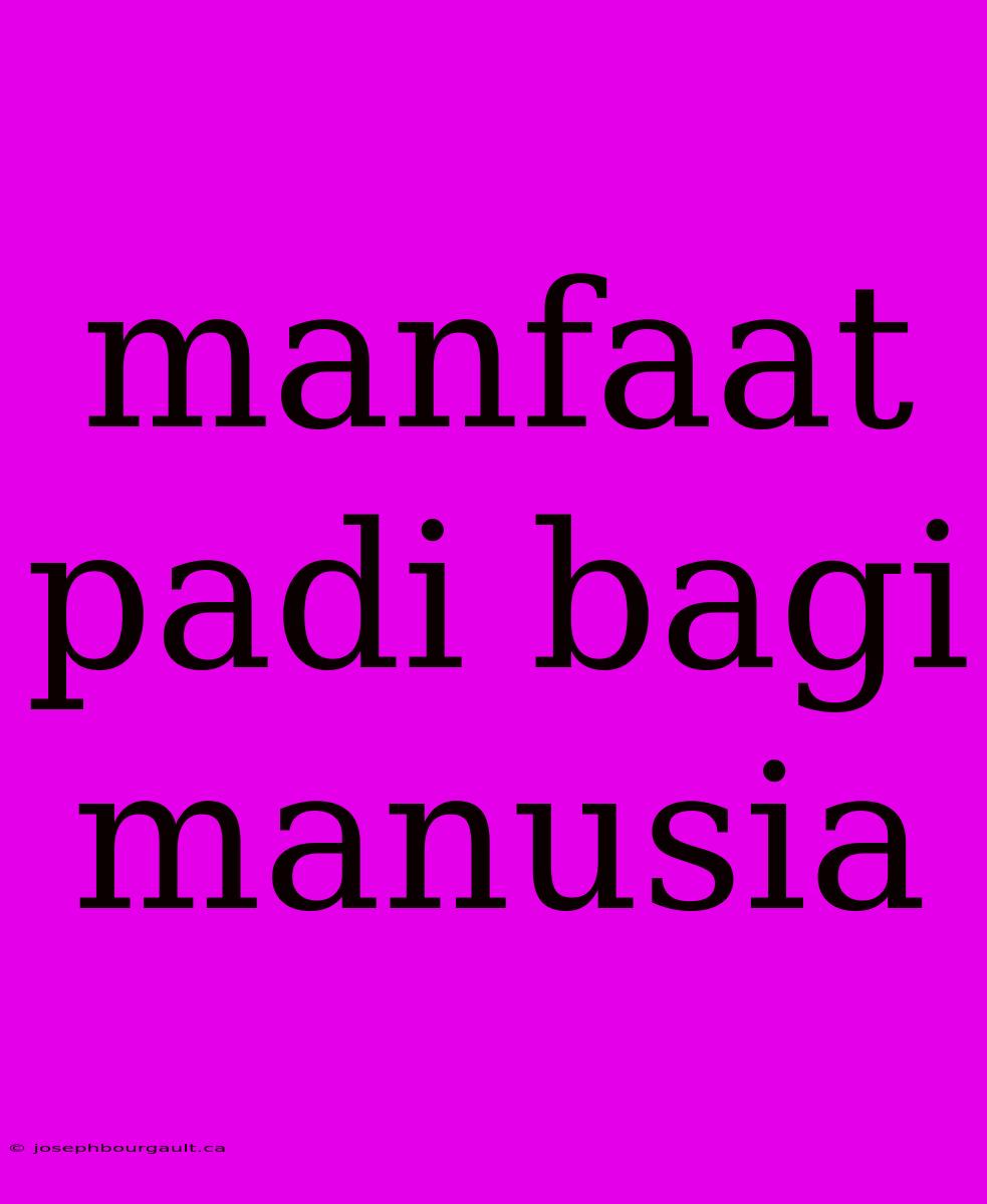 Manfaat Padi Bagi Manusia