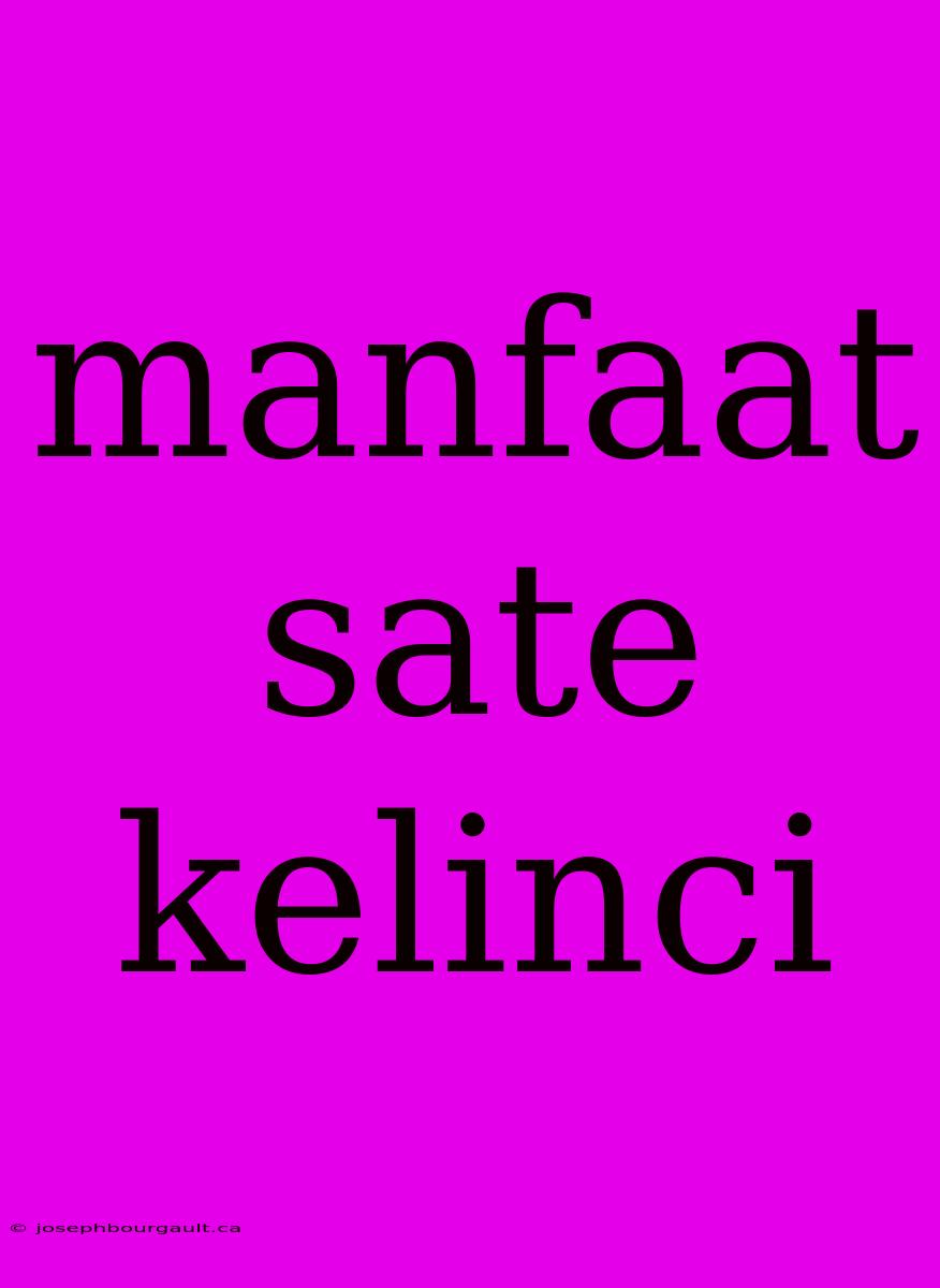 Manfaat Sate Kelinci