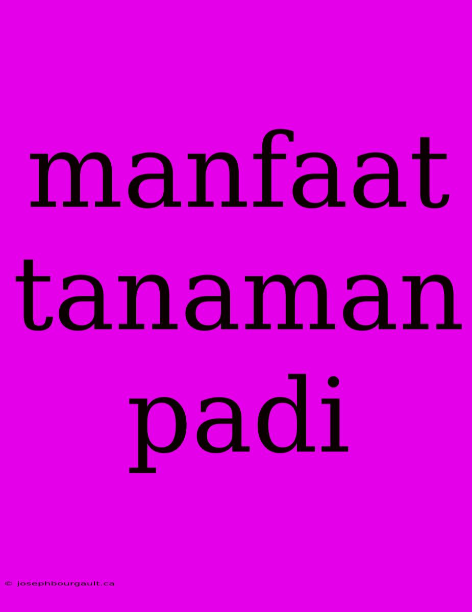 Manfaat Tanaman Padi