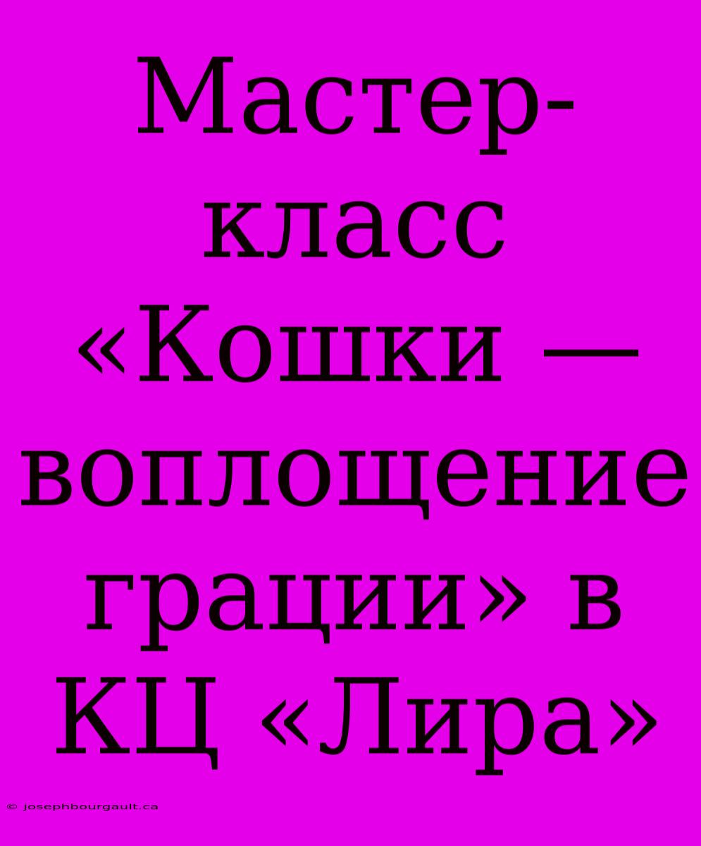 Мастер-класс «Кошки — Воплощение Грации» В КЦ «Лира»