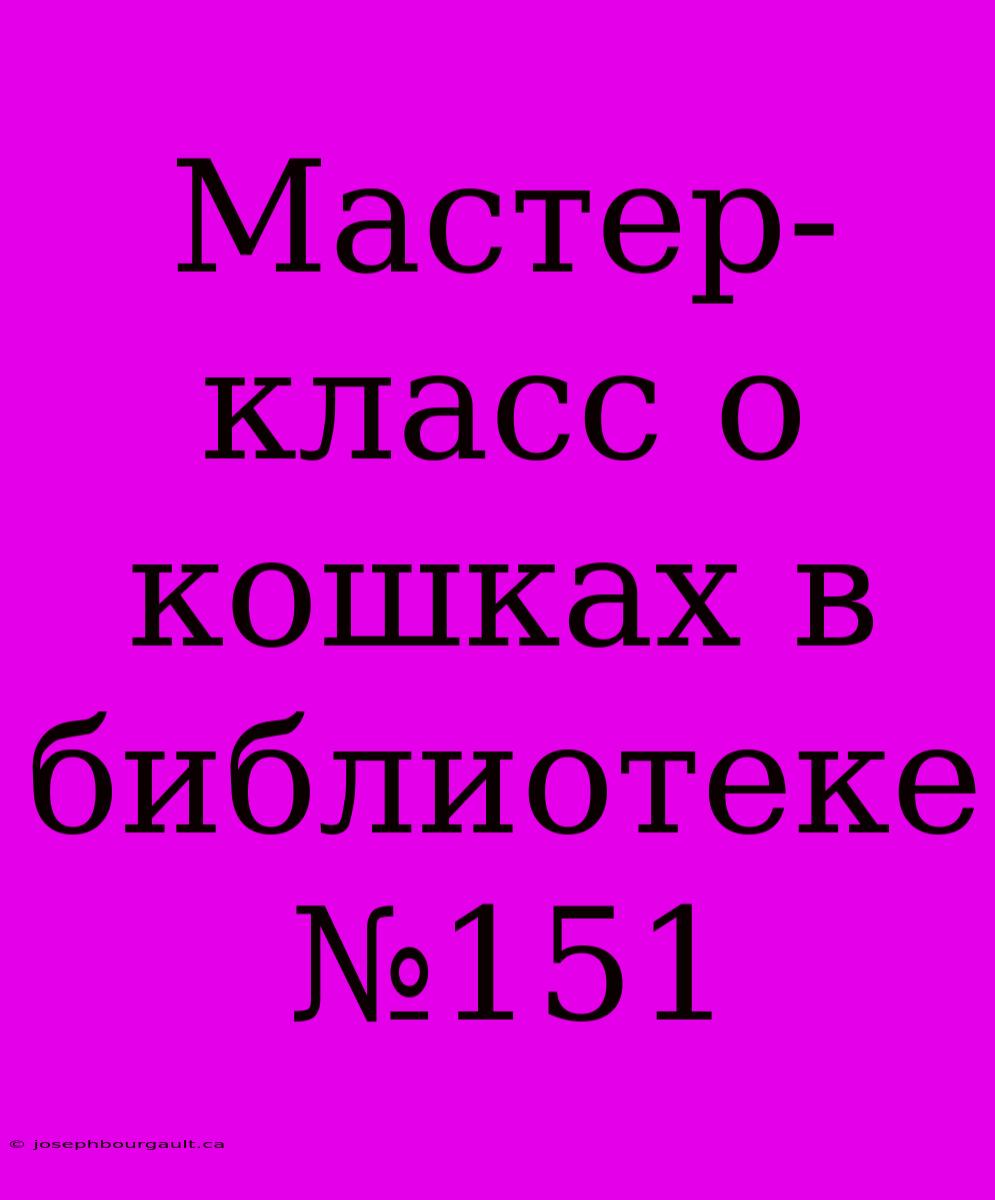 Мастер-класс О Кошках В Библиотеке №151