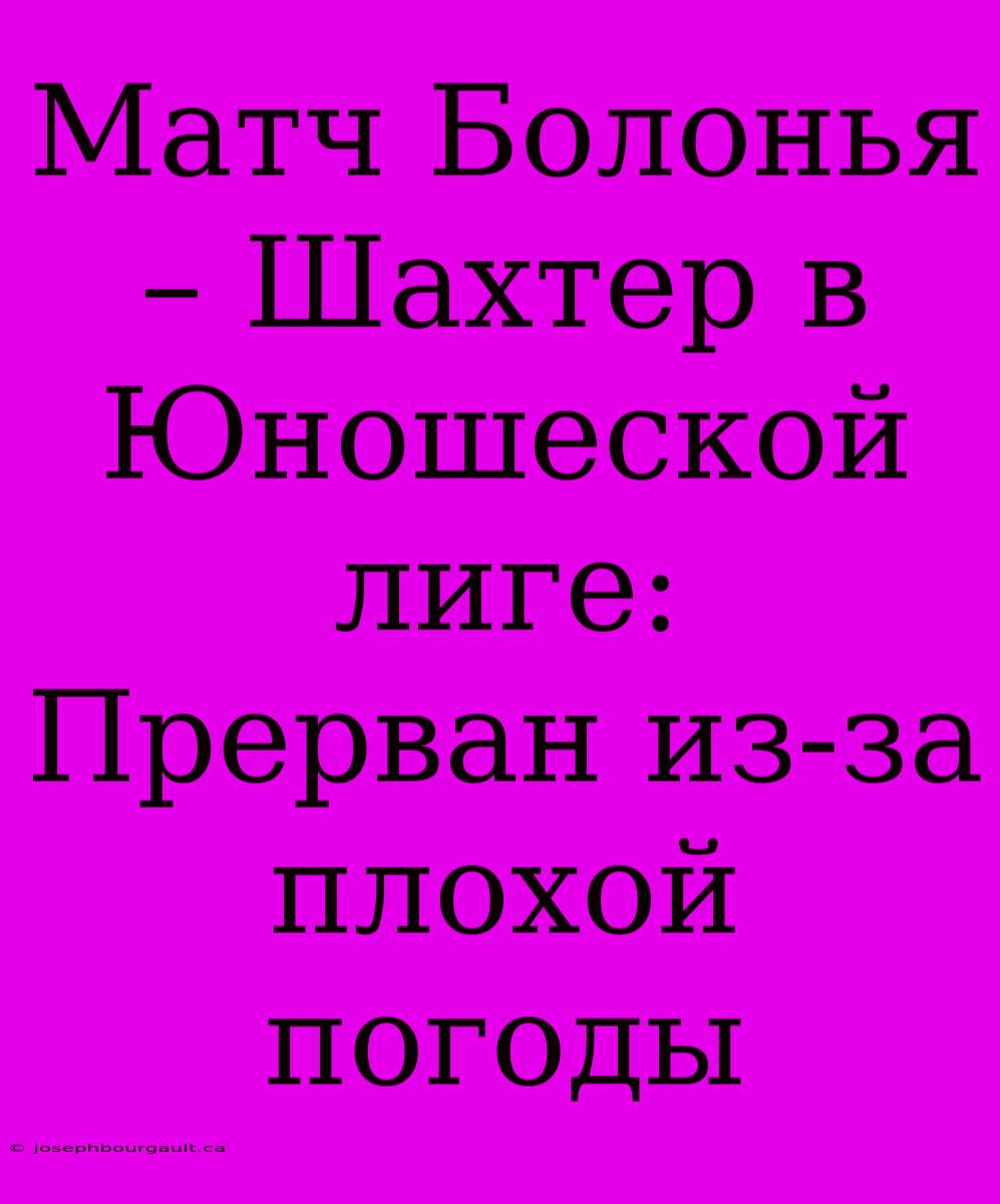 Матч Болонья – Шахтер В Юношеской Лиге: Прерван Из-за Плохой Погоды