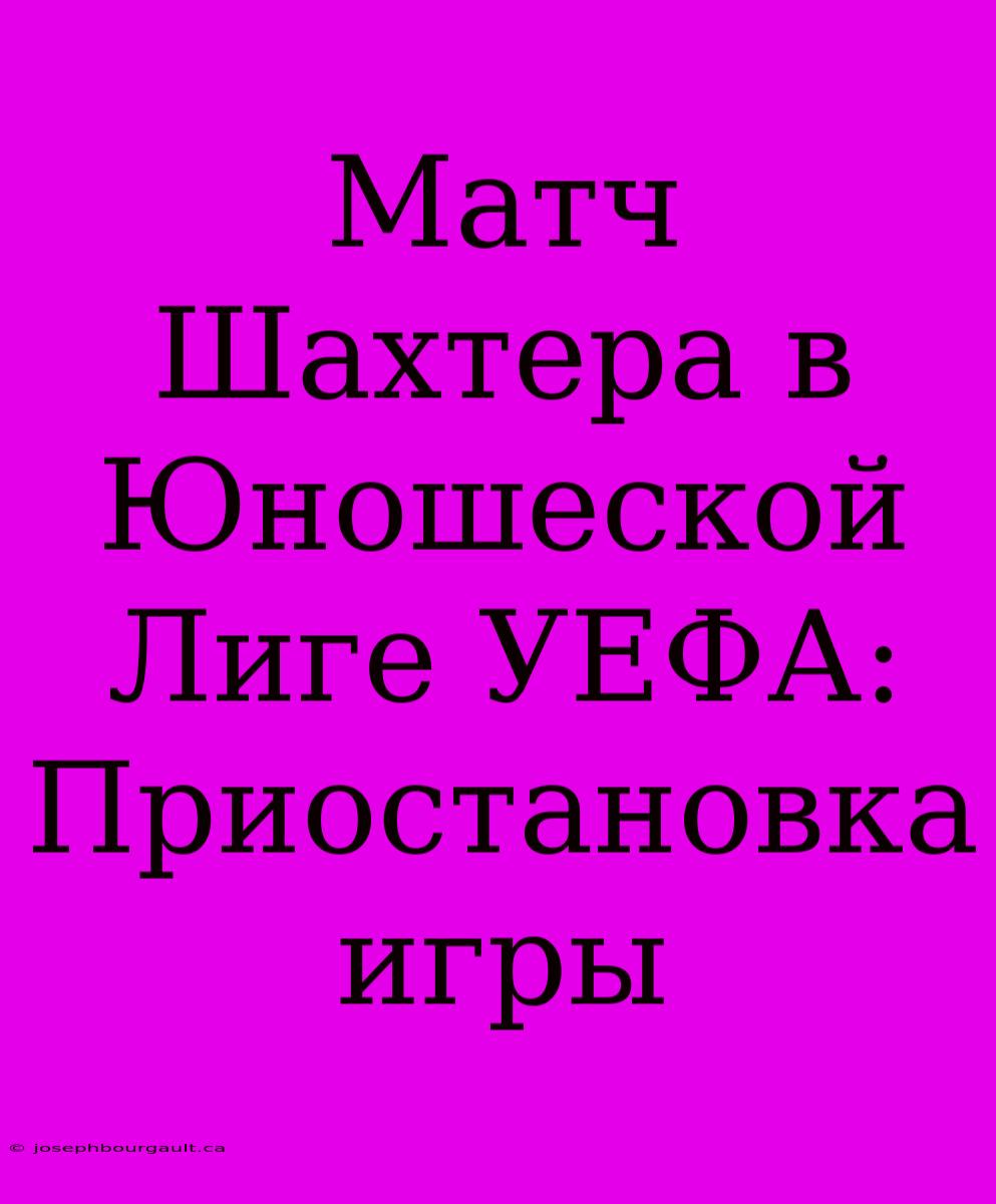 Матч Шахтера В Юношеской Лиге УЕФА: Приостановка Игры