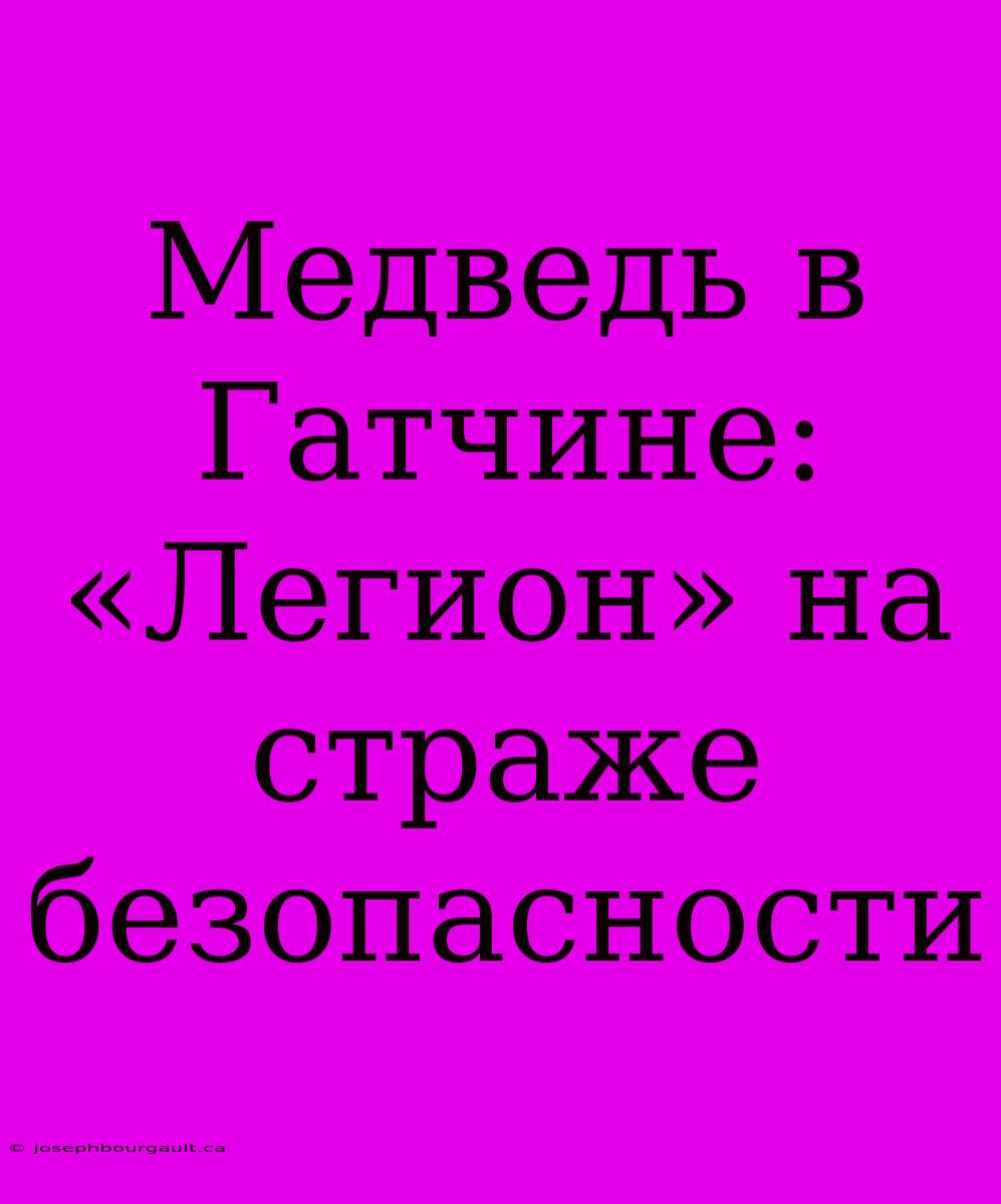 Медведь В Гатчине: «Легион» На Страже Безопасности