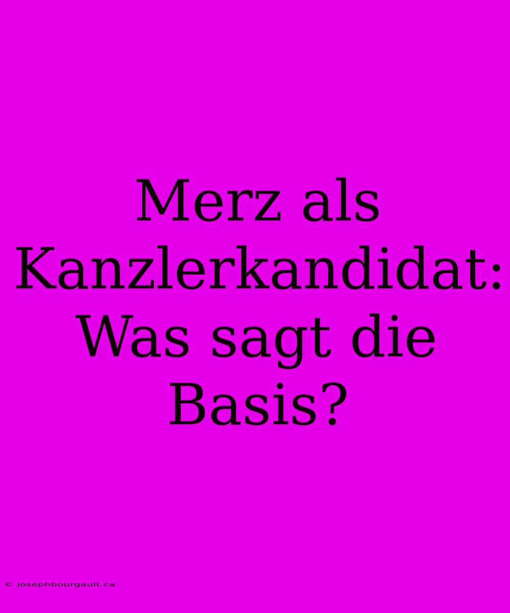 Merz Als Kanzlerkandidat: Was Sagt Die Basis?