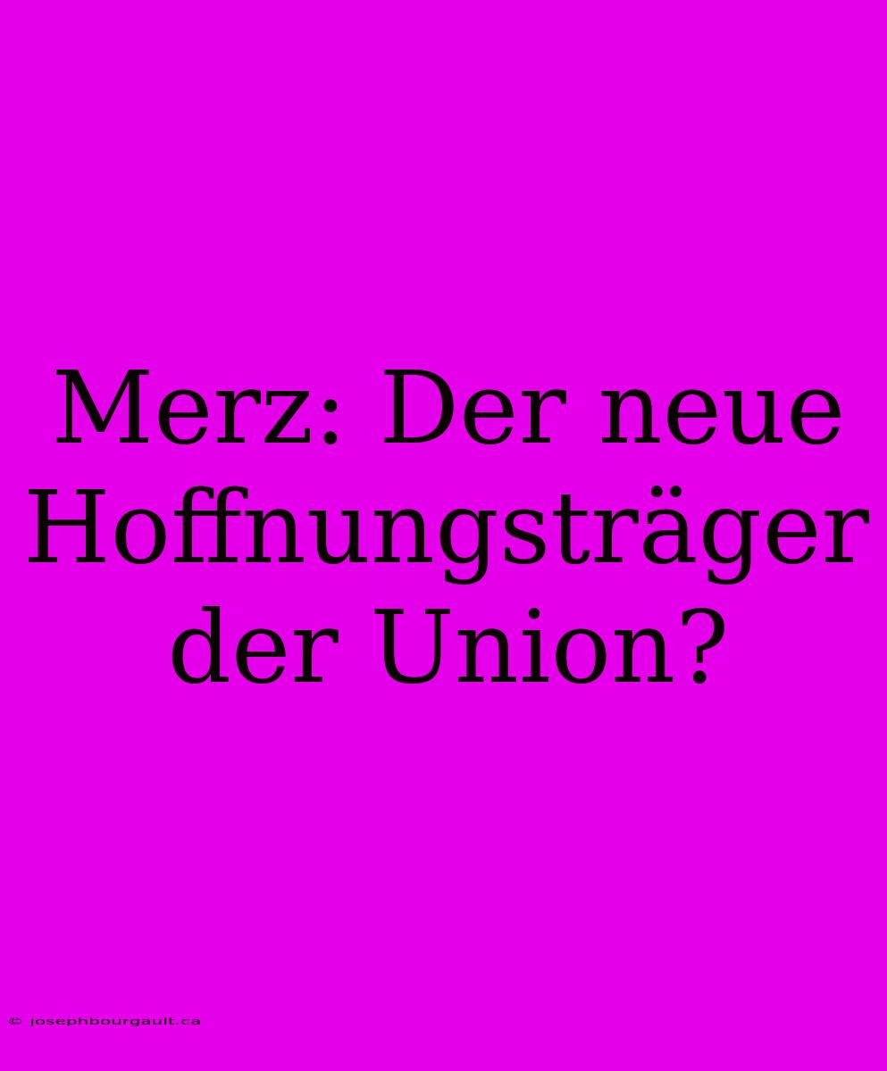 Merz: Der Neue Hoffnungsträger Der Union?