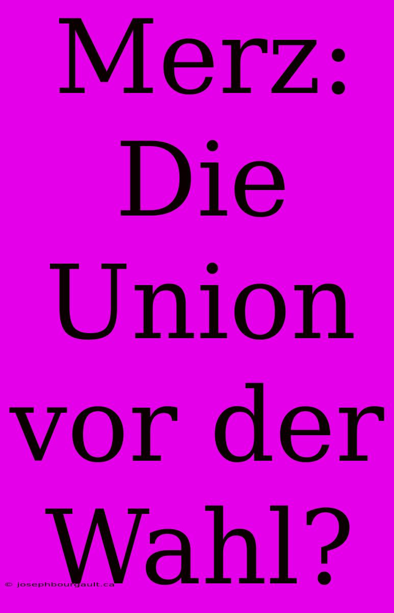 Merz: Die Union Vor Der Wahl?