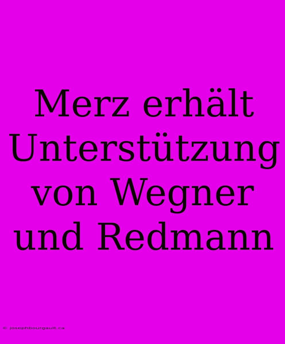 Merz Erhält Unterstützung Von Wegner Und Redmann