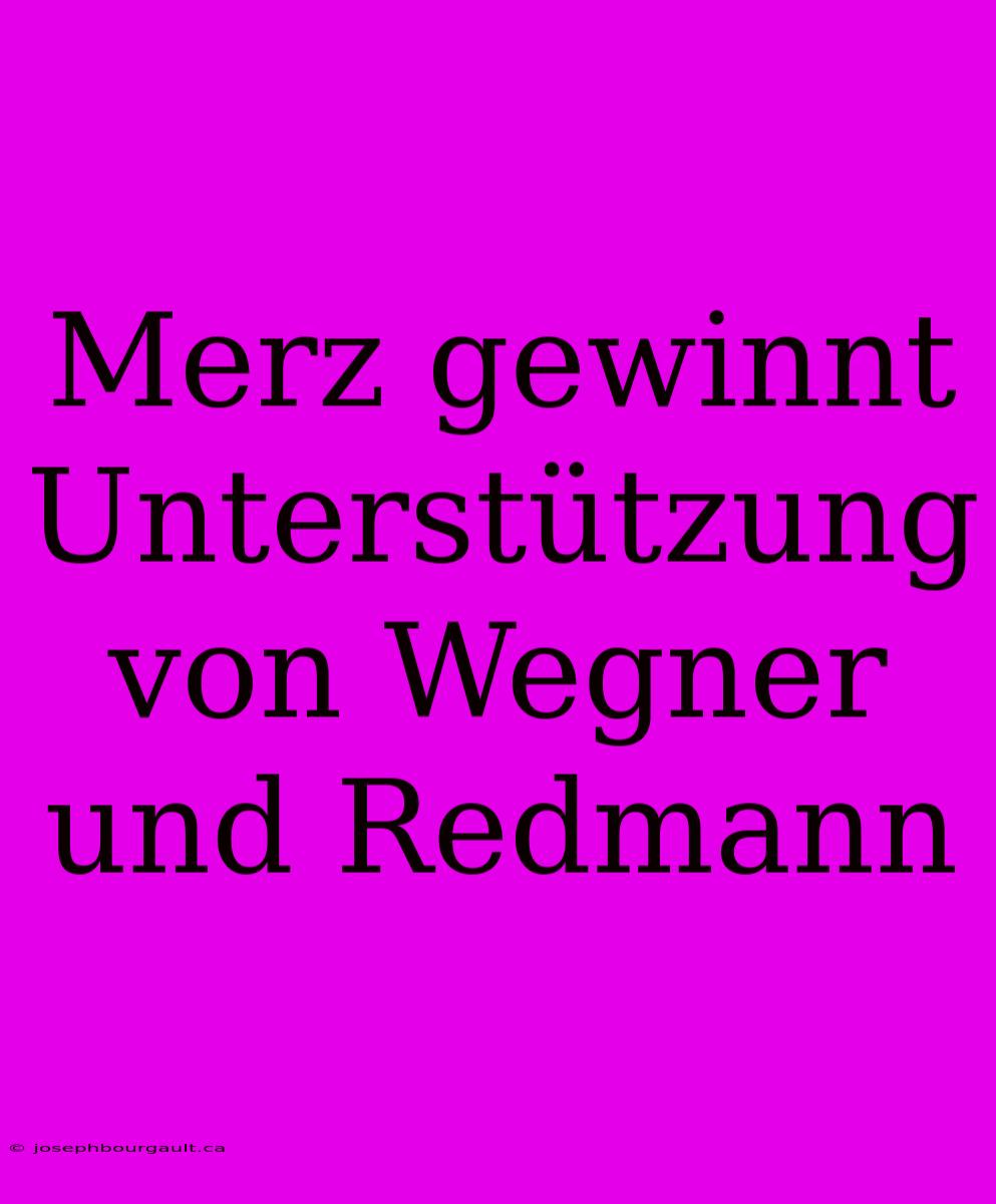 Merz Gewinnt Unterstützung Von Wegner Und Redmann