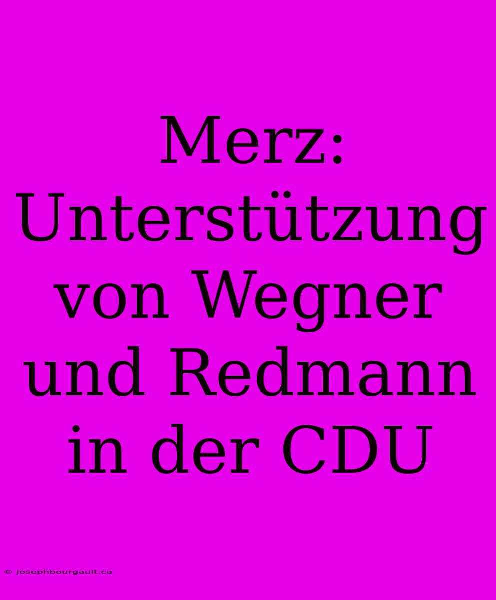 Merz: Unterstützung Von Wegner Und Redmann In Der CDU