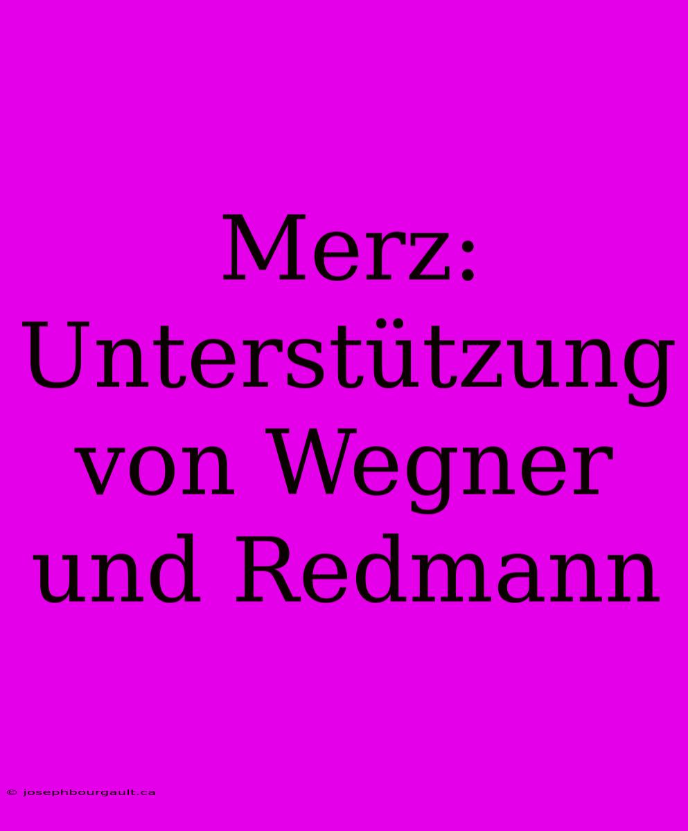 Merz: Unterstützung Von Wegner Und Redmann