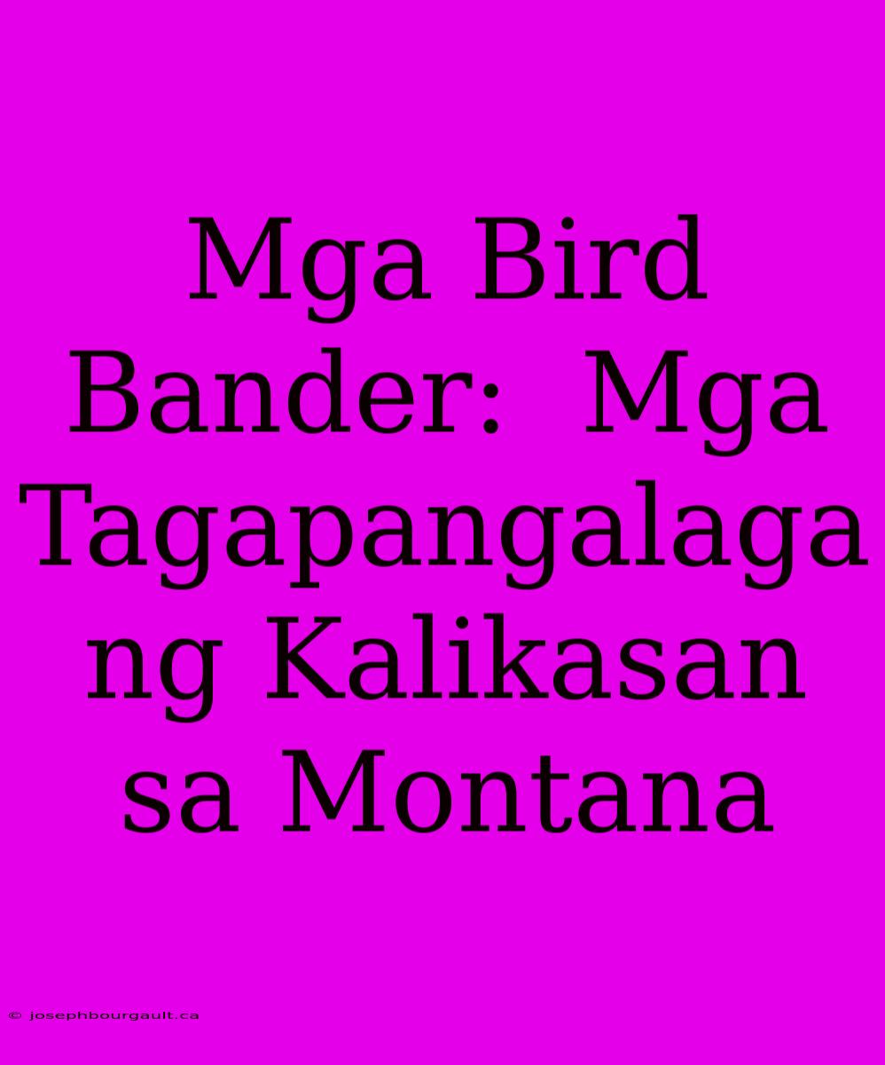 Mga Bird Bander:  Mga Tagapangalaga Ng Kalikasan Sa Montana