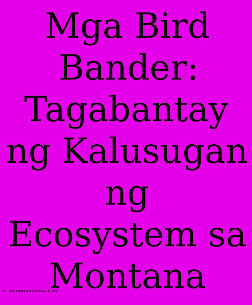 Mga Bird Bander: Tagabantay Ng Kalusugan Ng Ecosystem Sa Montana