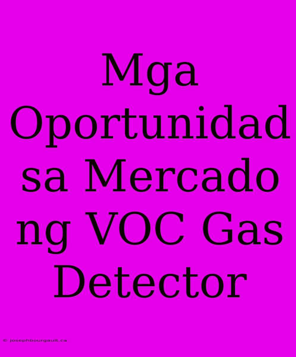 Mga Oportunidad Sa Mercado Ng VOC Gas Detector