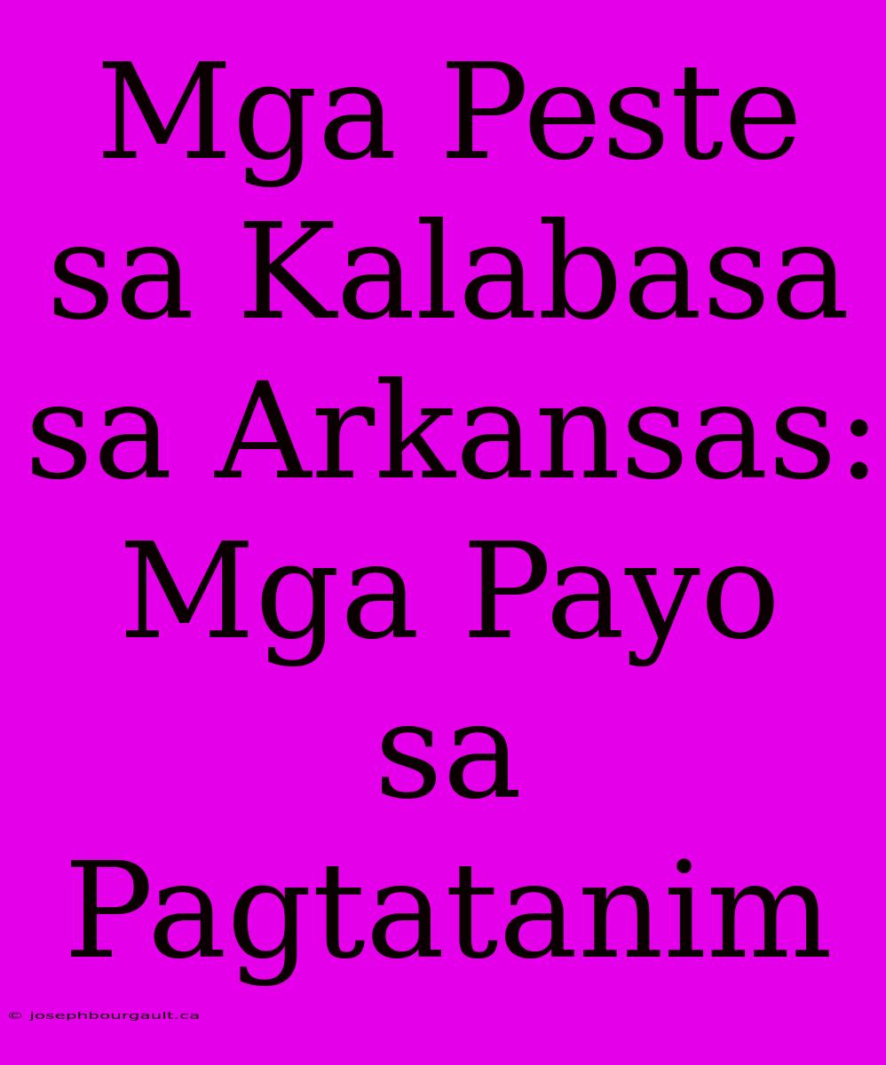 Mga Peste Sa Kalabasa Sa Arkansas: Mga Payo Sa Pagtatanim