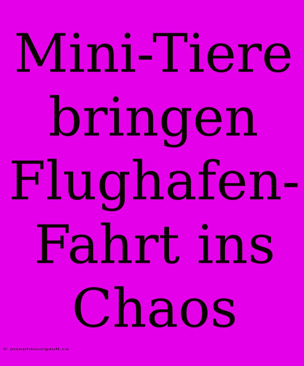 Mini-Tiere Bringen Flughafen-Fahrt Ins Chaos