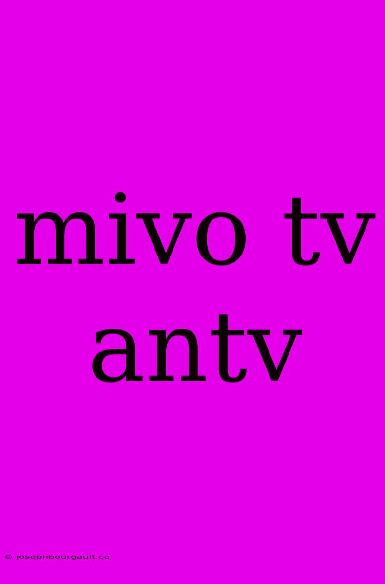 Mivo Tv Antv