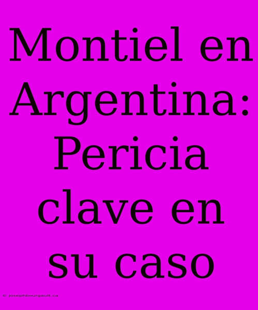 Montiel En Argentina: Pericia Clave En Su Caso