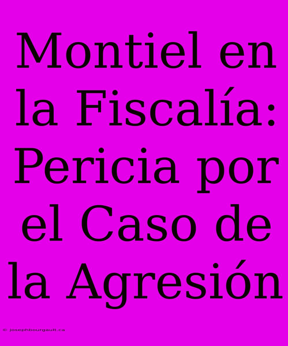 Montiel En La Fiscalía: Pericia Por El Caso De La Agresión