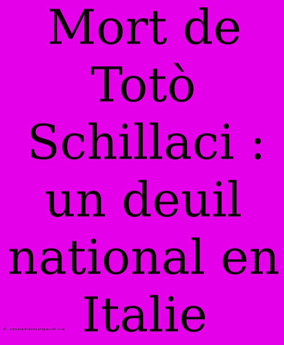 Mort De Totò Schillaci : Un Deuil National En Italie