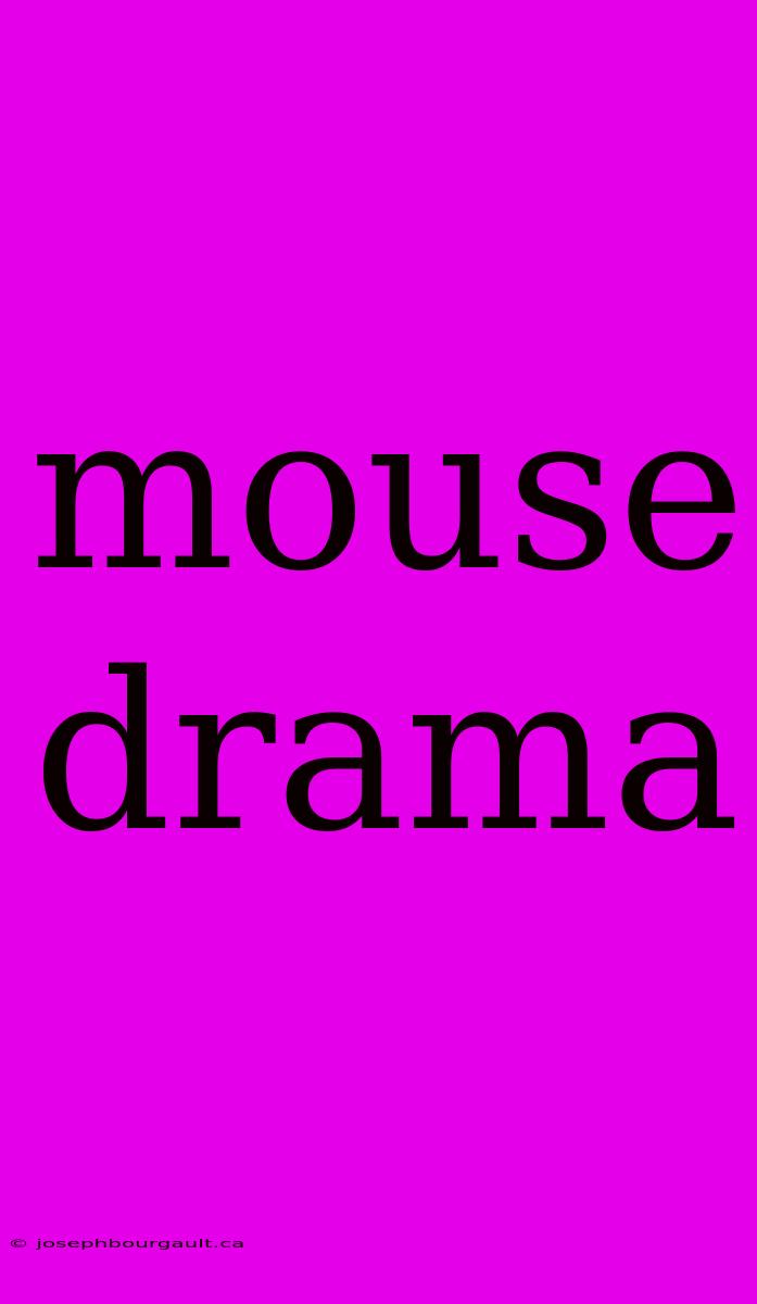 Mouse Drama