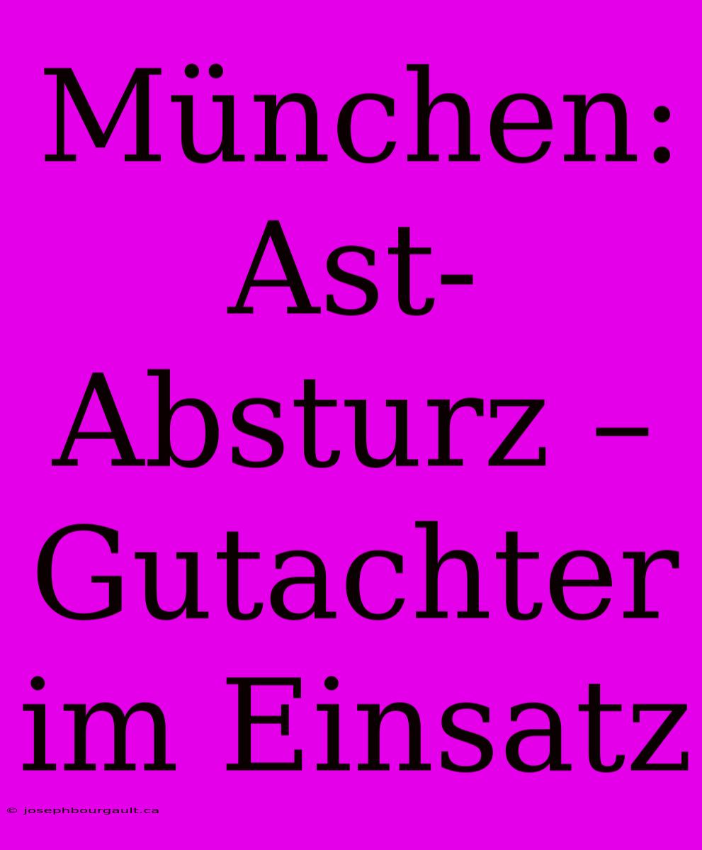 München: Ast-Absturz – Gutachter Im Einsatz