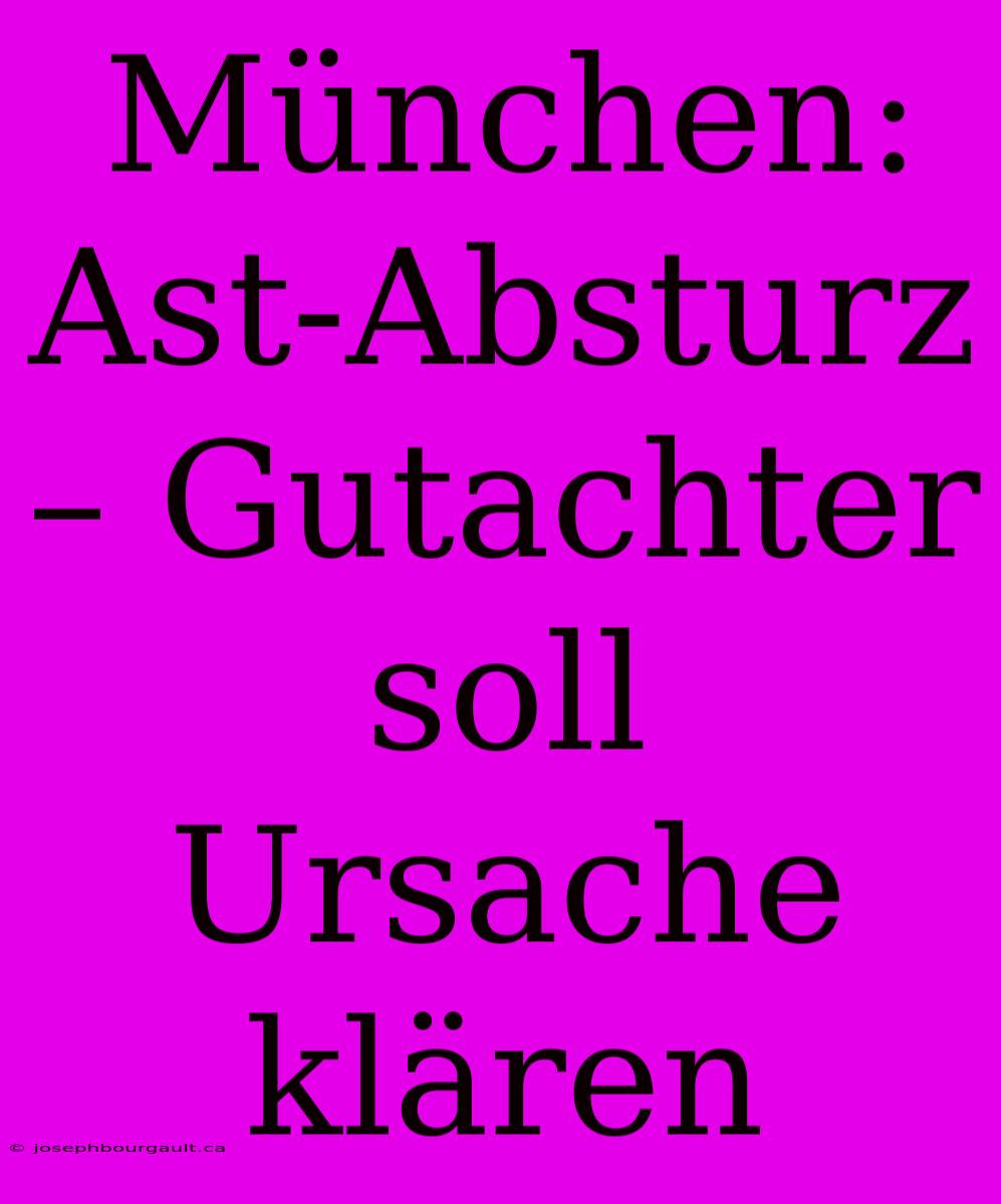 München: Ast-Absturz – Gutachter Soll Ursache Klären