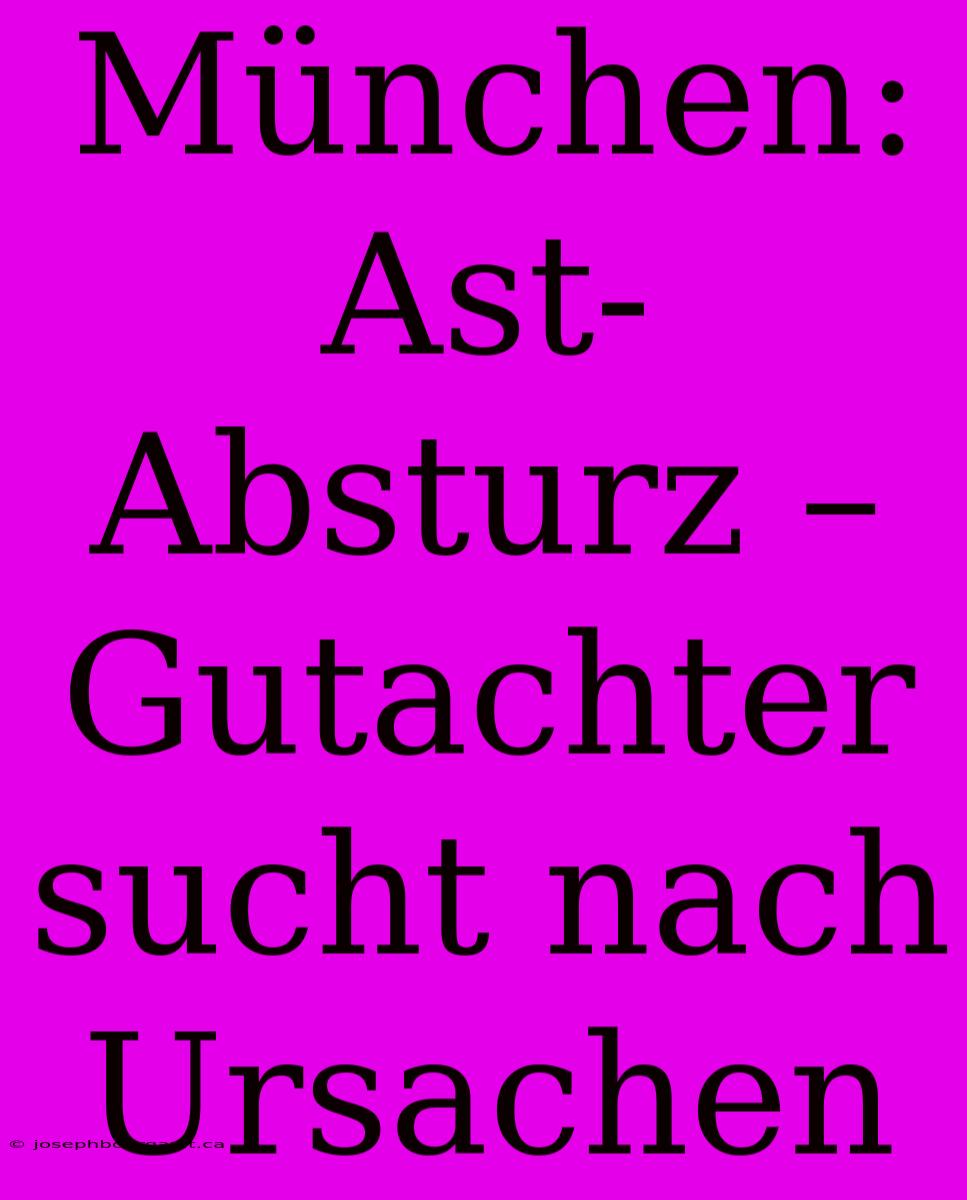 München: Ast-Absturz – Gutachter Sucht Nach Ursachen