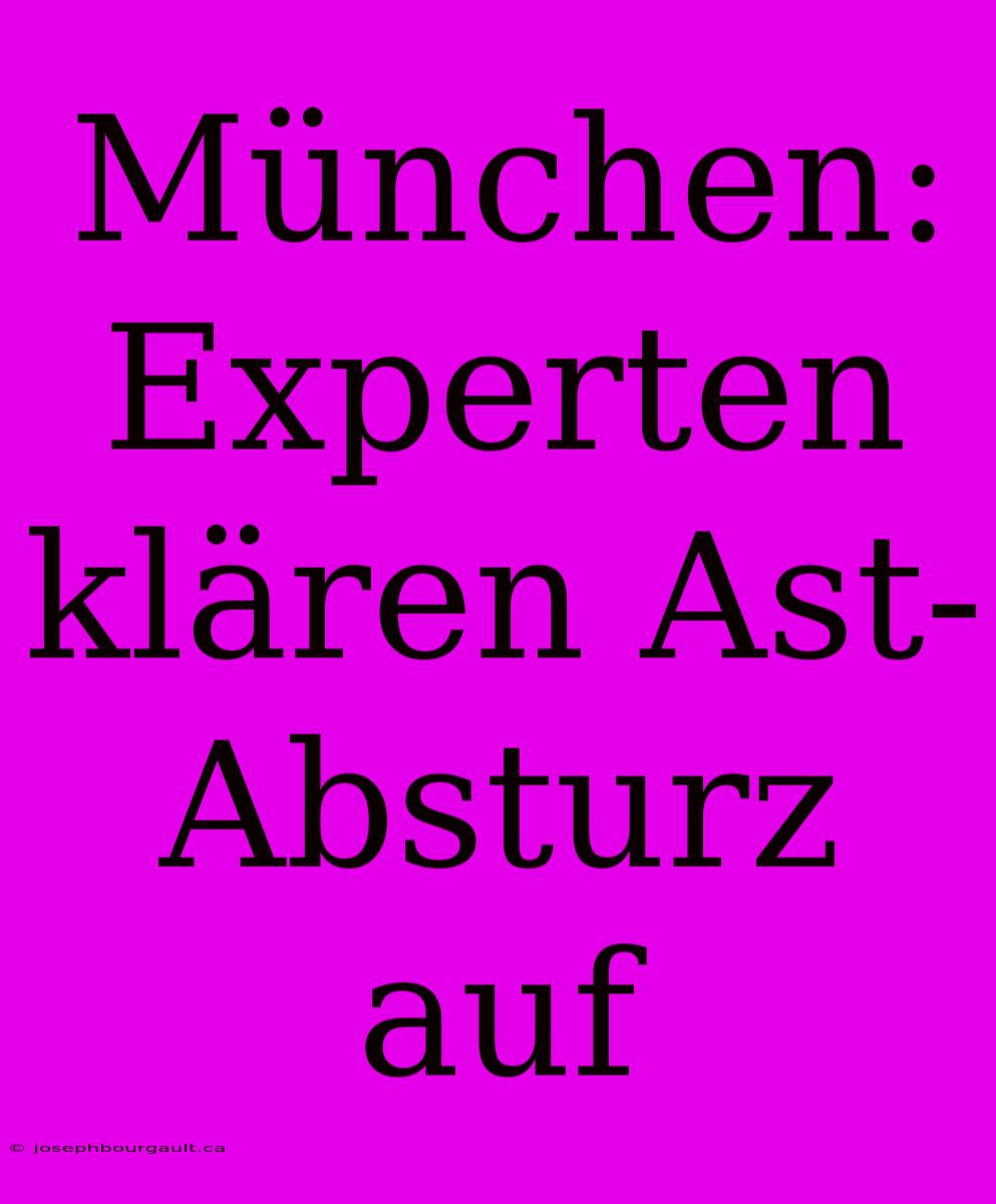 München: Experten Klären Ast-Absturz Auf