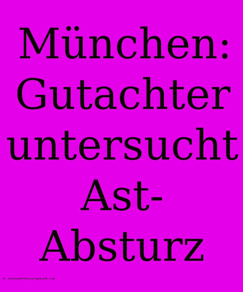 München: Gutachter Untersucht Ast-Absturz