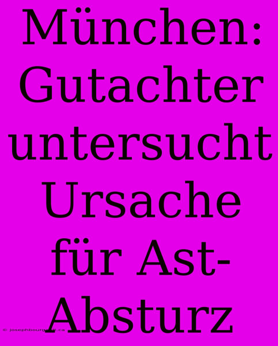 München: Gutachter Untersucht Ursache Für Ast-Absturz