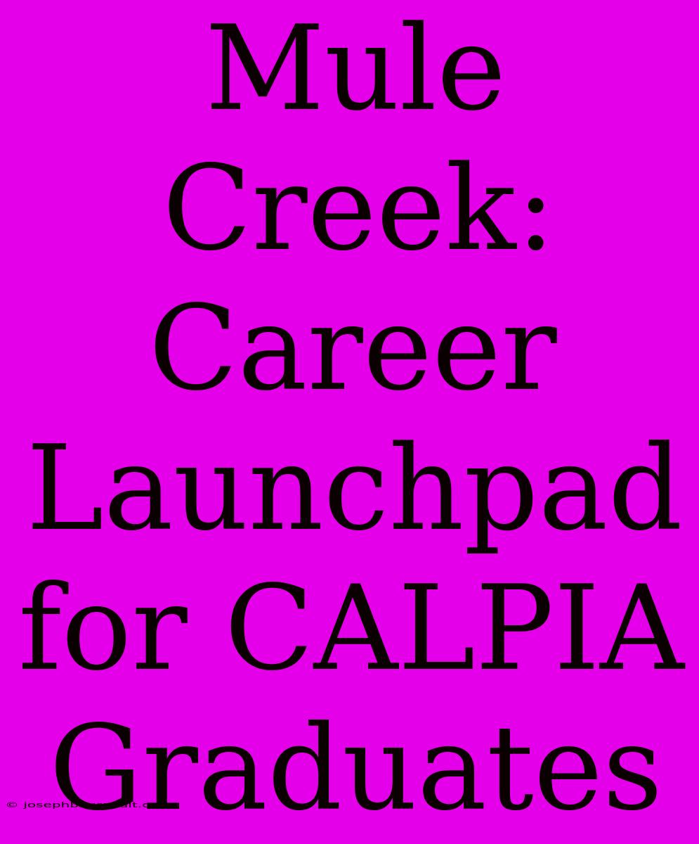 Mule Creek: Career Launchpad For CALPIA Graduates