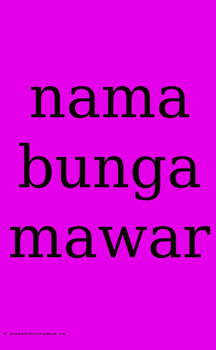 Nama Bunga Mawar