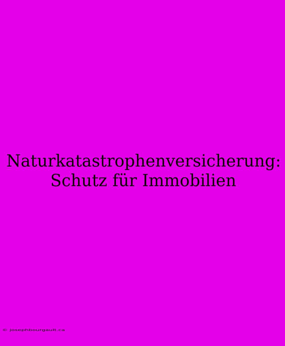 Naturkatastrophenversicherung: Schutz Für Immobilien