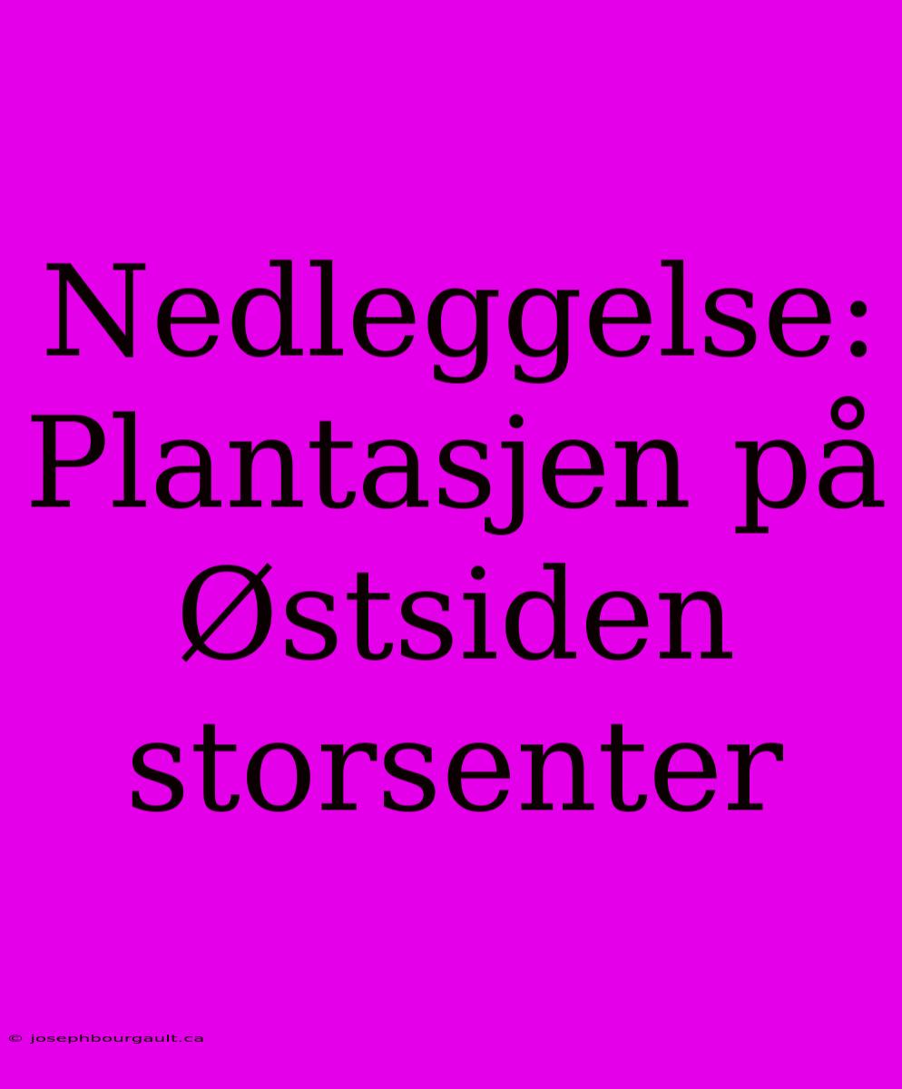 Nedleggelse: Plantasjen På Østsiden Storsenter