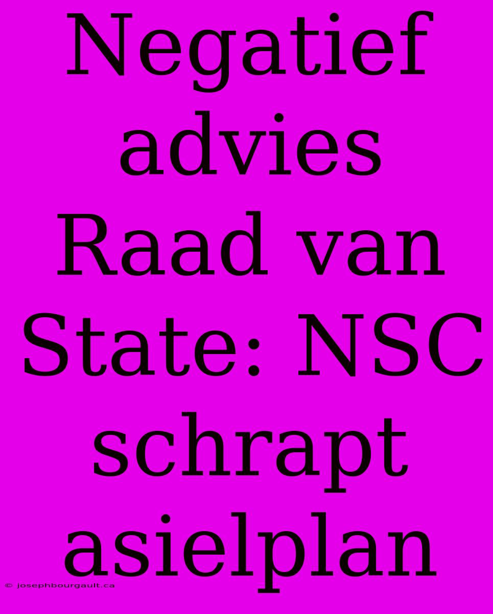 Negatief Advies Raad Van State: NSC Schrapt Asielplan