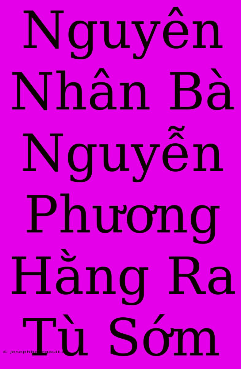 Nguyên Nhân Bà Nguyễn Phương Hằng Ra Tù Sớm