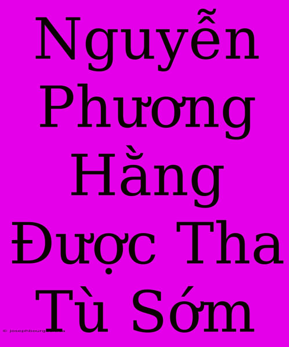 Nguyễn Phương Hằng Được Tha Tù Sớm