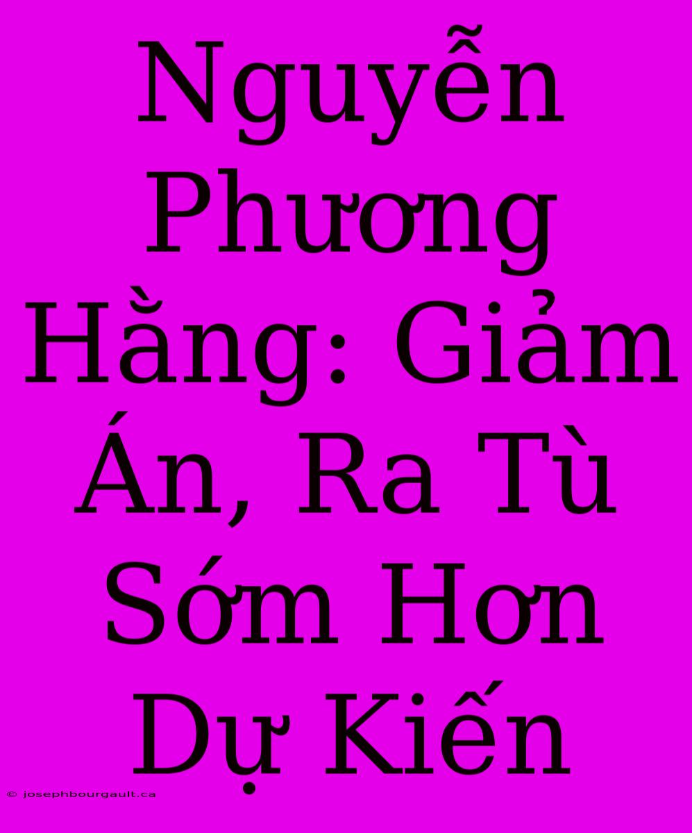 Nguyễn Phương Hằng: Giảm Án, Ra Tù Sớm Hơn Dự Kiến