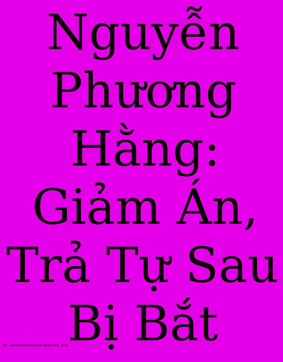 Nguyễn Phương Hằng: Giảm Án, Trả Tự Sau Bị Bắt